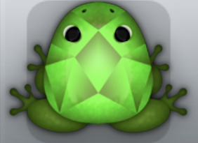 Olive Muscus Gemma Frog from Pocket Frogs