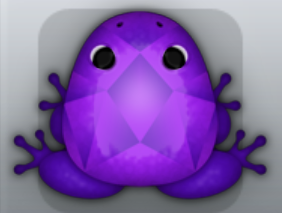 Purple Viola Gemma Frog from Pocket Frogs