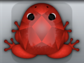 Red Tingo Gemma Frog from Pocket Frogs