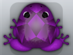 Royal Pruni Gemma Frog from Pocket Frogs