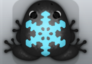 Black Callaina Glacio Frog from Pocket Frogs