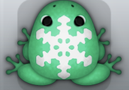 Marine Albeo Glacio Frog from Pocket Frogs