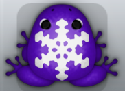 Purple Albeo Glacio Frog from Pocket Frogs