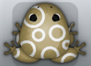 Beige Albeo Gyrus Frog from Pocket Frogs