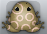 Beige Ceres Gyrus Frog from Pocket Frogs