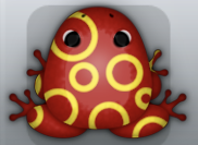 Maroon Aurum Gyrus Frog from Pocket Frogs