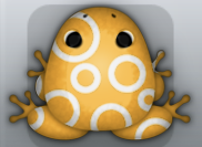Orange Albeo Gyrus Frog from Pocket Frogs
