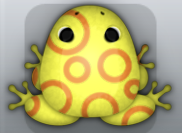 Yellow Chroma Gyrus Frog from Pocket Frogs