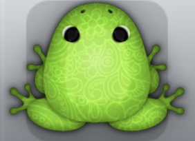 Green Folium Hennae Frog from Pocket Frogs