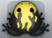 Black Aurum Igneous Frog from Pocket Frogs