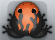 Black Carota Igneous Frog from Pocket Frogs