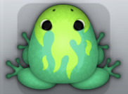 Marine Folium Igneous Frog from Pocket Frogs