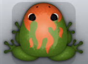 Olive Carota Igneous Frog from Pocket Frogs