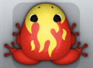 Red Aurum Igneous Frog from Pocket Frogs