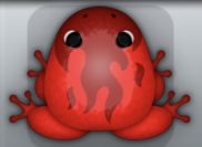 Red Tingo Igneous Frog from Pocket Frogs