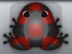 Black Tingo Imbris Frog from Pocket Frogs