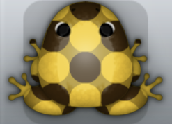 Golden Cafea Imbris Frog from Pocket Frogs
