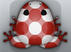 Maroon Albeo Imbris Frog from Pocket Frogs