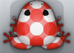 Red Albeo Imbris Frog from Pocket Frogs
