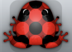 Red Picea Imbris Frog from Pocket Frogs
