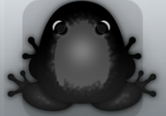Black Picea Insero Frog from Pocket Frogs