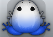 Blue Albeo Insero Frog from Pocket Frogs