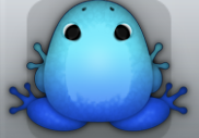 Blue Callaina Insero Frog from Pocket Frogs