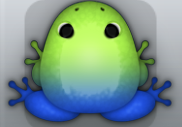 Blue Folium Insero Frog from Pocket Frogs