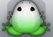 Emerald Albeo Insero Frog from Pocket Frogs