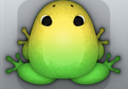 Emerald Aurum Insero Frog from Pocket Frogs