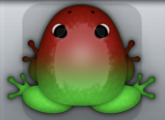 Emerald Tingo Insero Frog from Pocket Frogs