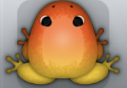 Golden Carota Insero Frog from Pocket Frogs