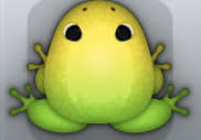 Green Aurum Insero Frog from Pocket Frogs