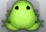 Green Folium Insero Frog from Pocket Frogs