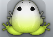 Lime Albeo Insero Frog from Pocket Frogs
