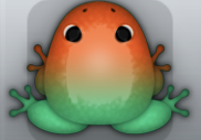 Marine Carota Insero Frog from Pocket Frogs