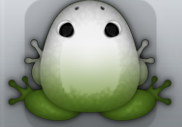 Olive Albeo Insero Frog from Pocket Frogs