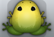 Olive Aurum Insero Frog from Pocket Frogs