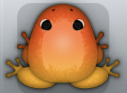 Orange Carota Insero Frog from Pocket Frogs