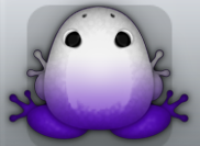 Purple Albeo Insero Frog from Pocket Frogs