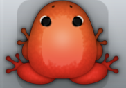 Red Carota Insero Frog from Pocket Frogs