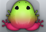 Violet Folium Insero Frog from Pocket Frogs