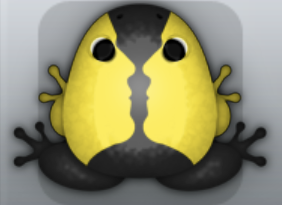 Black Aurum Janus Frog from Pocket Frogs