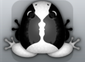 White Picea Janus Frog from Pocket Frogs