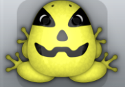 Yellow Picea Lanterna Frog from Pocket Frogs