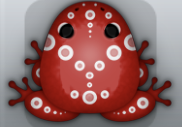 Maroon Albeo Latus Frog from Pocket Frogs