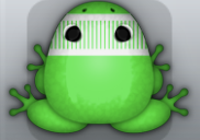 Emerald Albeo Levar Frog from Pocket Frogs