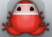 Red Albeo Levar Frog from Pocket Frogs