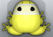 Yellow Albeo Levar Frog from Pocket Frogs