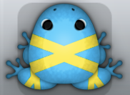 Azure Aurum Ligo Frog from Pocket Frogs